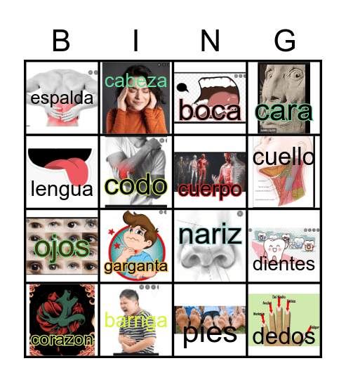 Partes del cuerpo Bingo Card