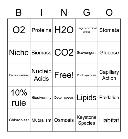 Honors Biology Unit 3: Ecosystems Bingo Card