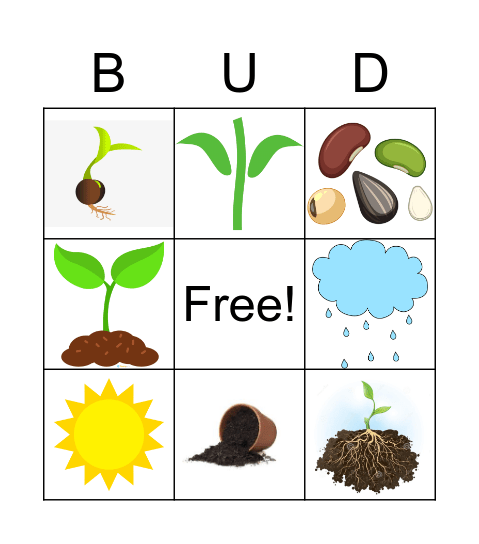 Plant Vocab Bingo Card