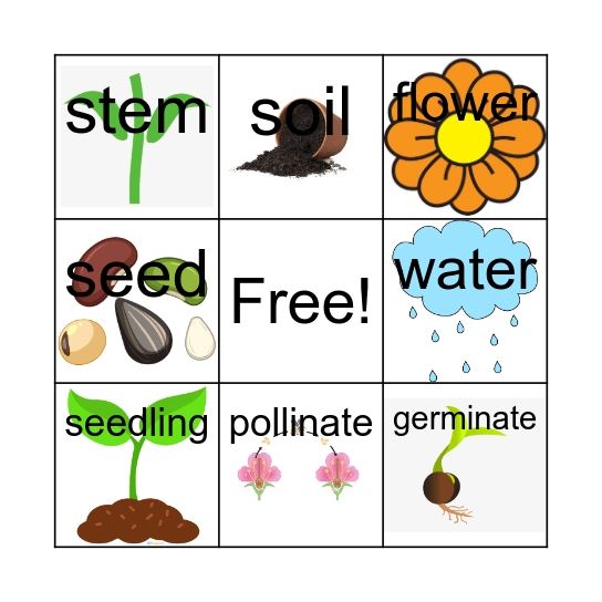 Plant Bingo Card