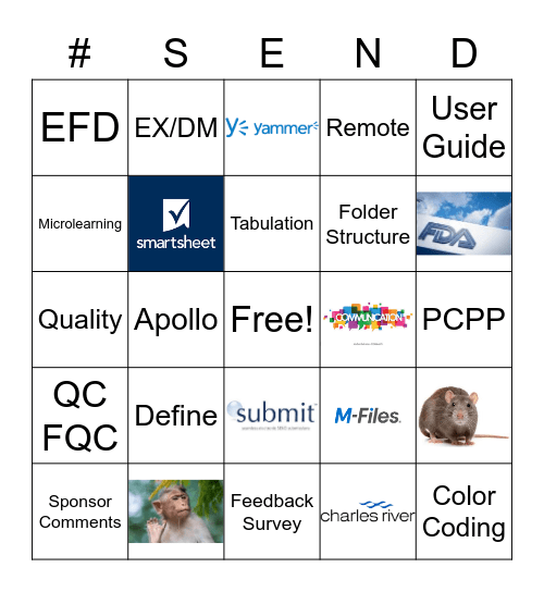 Tonya Team Bingo Card