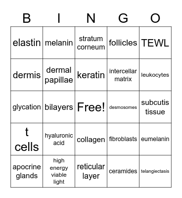 Physiology & Histology of the Skin Bingo Card