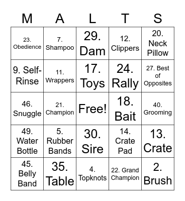 American Maltese Association Bingo Card