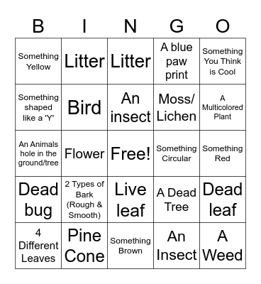 Nature Scavenger Hunt Bingo Card