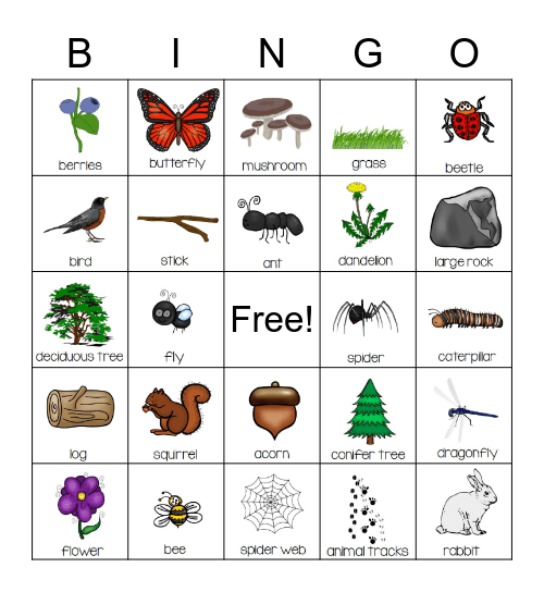 Nature Bingo Card