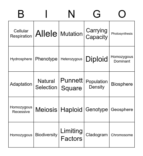 Final Exam Vocab Review Bingo Card