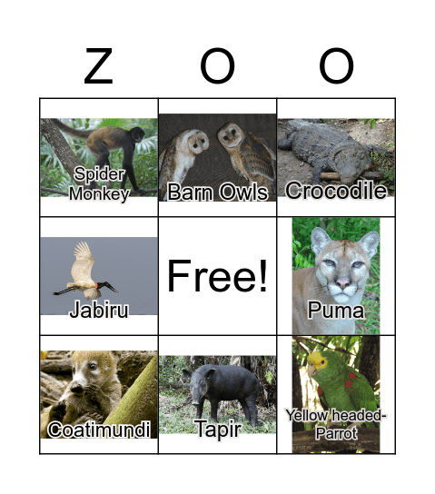 THE BELIZE ZOO BINGO Card