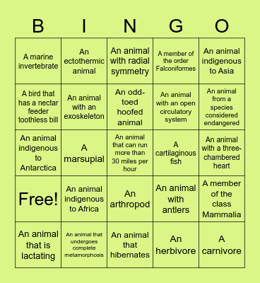 Zoo Bingo Card