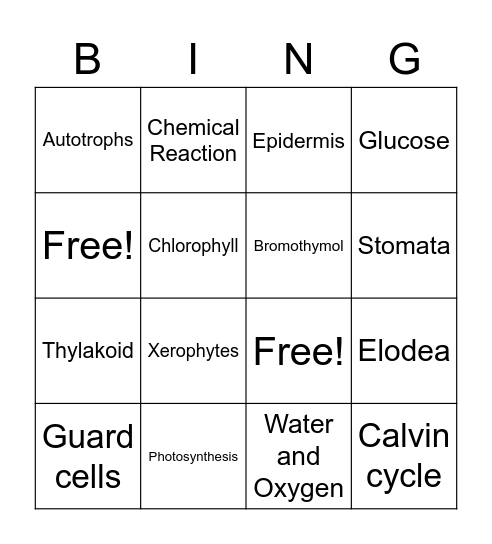 Unit: Plant Biology Bingo Card