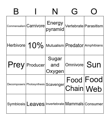 Food Chains and Webs Bingo Card