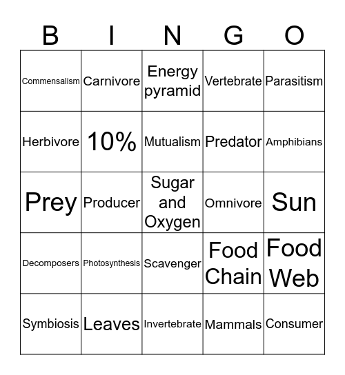 Food Chains and Webs Bingo Card