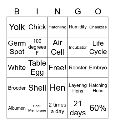 Hatching Chicks Vocabulary Bingo Card