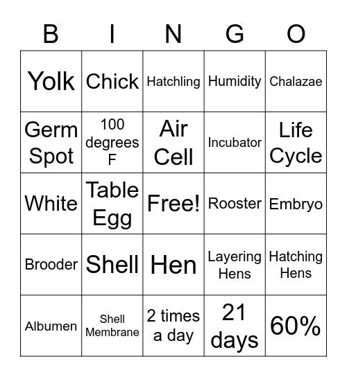 Hatching Chicks Vocabulary Bingo Card