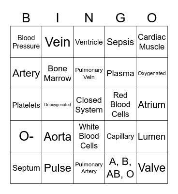 Circulatory System Bingo Card