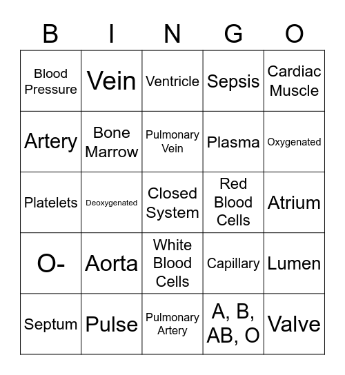 Circulatory System Bingo Card