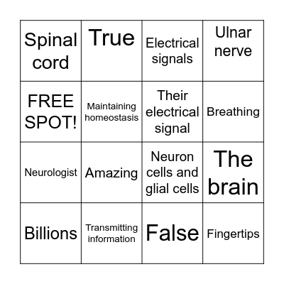 The Nervous System Bingo Card