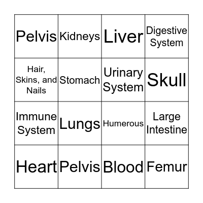 Human Body Bingo Card