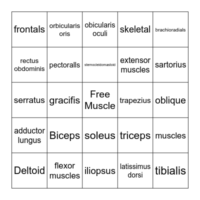 Muscular System Bingo Card