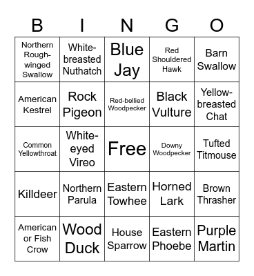 Birdwatching Bingo (SC, May-June) Bingo Card