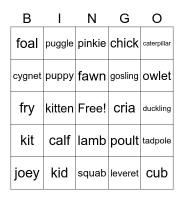 Baby Animal Bingo Card