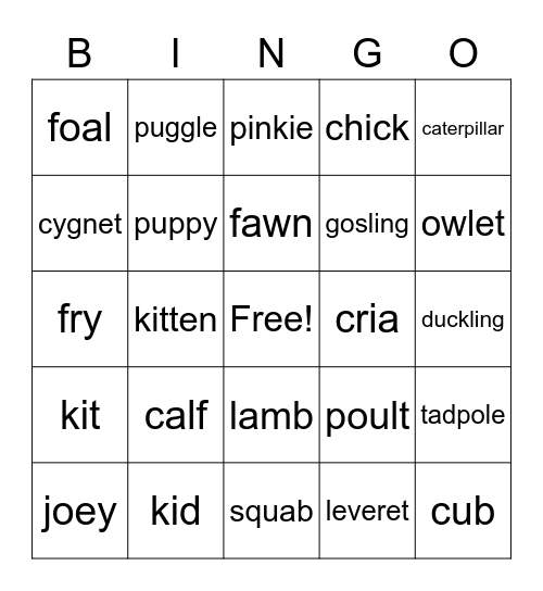 Baby Animal Bingo Card