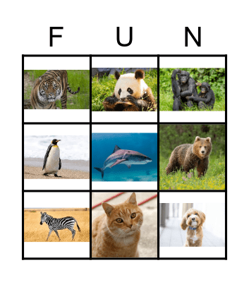 ANIMALS Bingo Card