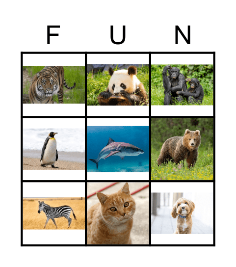 ANIMALS Bingo Card