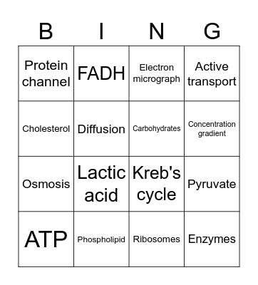 11 BIOLOGY (2023) Bingo Card