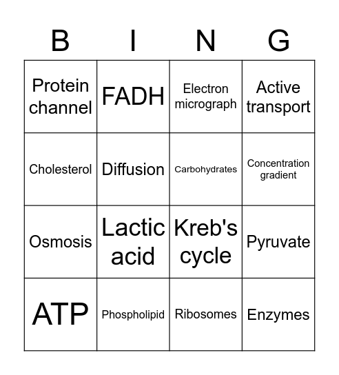 11 BIOLOGY (2023) Bingo Card