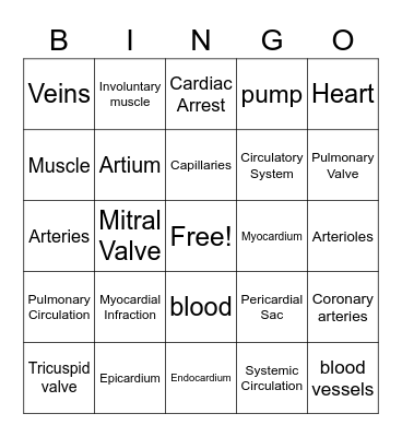 Cardiovascular System Bingo Card