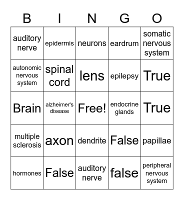 Chapter 14 Nervous System Bingo Card