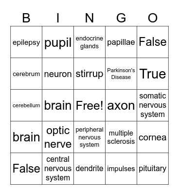 Chapter 14 Nervous System Bingo Card