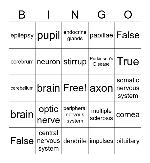 Chapter 14 Nervous System Bingo Card
