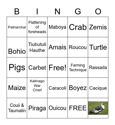 Kalinago's Bingo Card