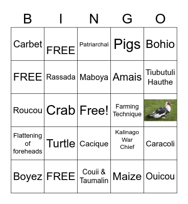 Kalinago's Bingo Card