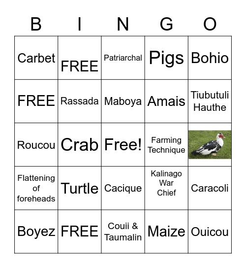 Kalinago's Bingo Card