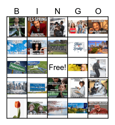 Citizen Springo Bingo Card