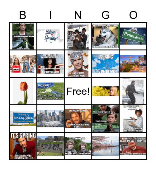 Citizen Springo Bingo Card