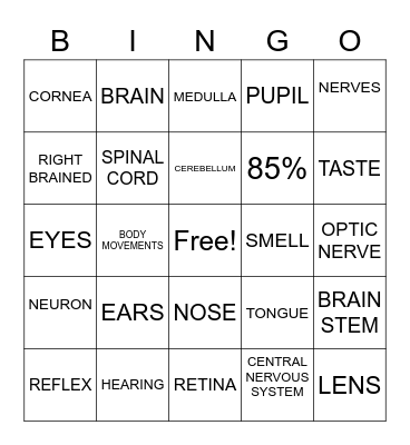 NERVOUS SYSTEM Bingo Card