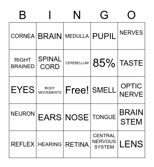 NERVOUS SYSTEM Bingo Card