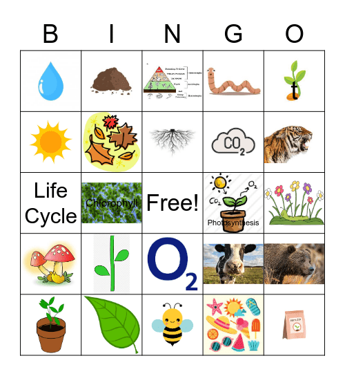 Gardening Bingo- Q&A Bingo Card