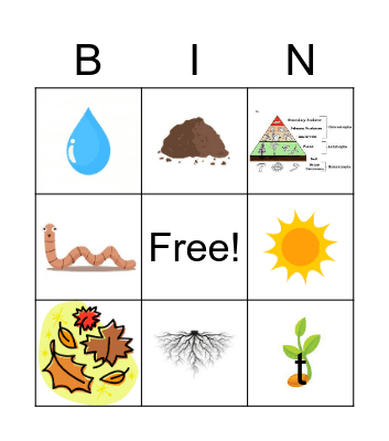 Gardening Bingo- Q&A Bingo Card