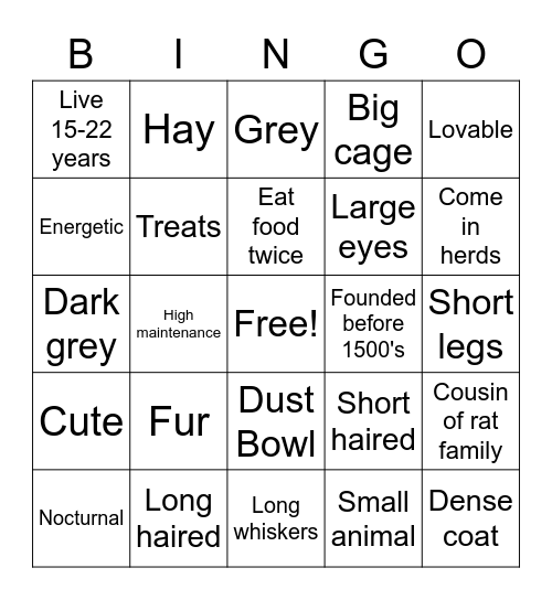 Chinchilla Bingo Card