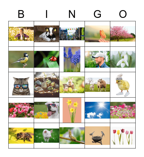 Lente Bingo Card