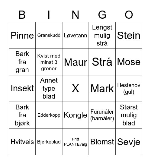 FriluftslivBINGO Card
