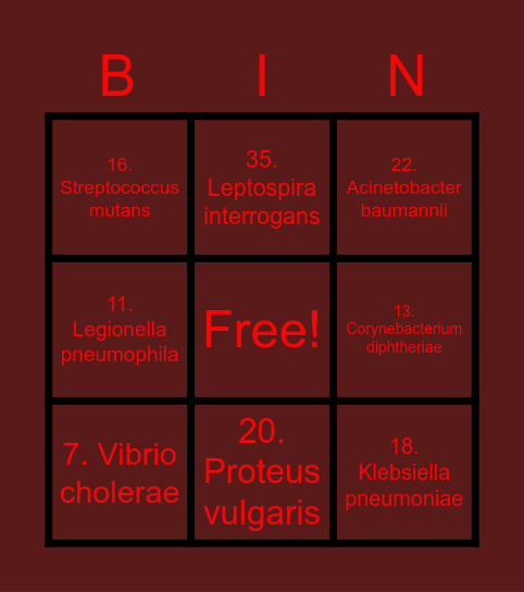 Bactérias Bingo Card