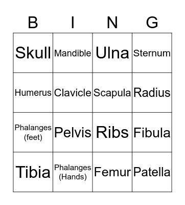Skeletal System Bingo Card