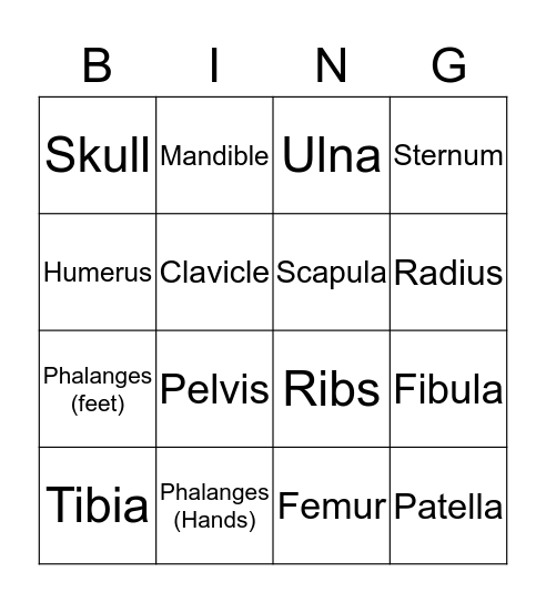 Skeletal System Bingo Card