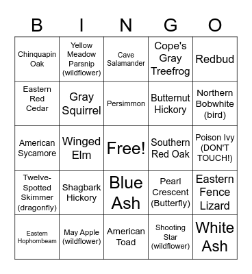 Barfield Park Tree Trail BINGO Card