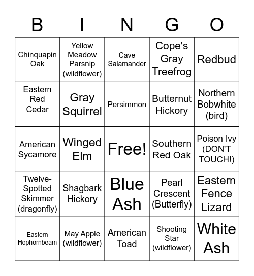 Barfield Park Tree Trail BINGO Card